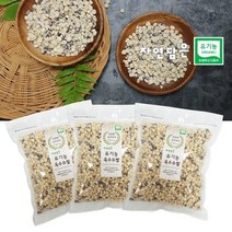 푸른들판 자연담은 유기농 옥수수쌀 1kg X 3 (총3kg), 단품, 1