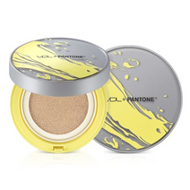 브이디엘 팬톤21 엑스퍼트 퍼펙트핏 쿠션 파운데이션 15g, A02 아프리콧베이지, 14개