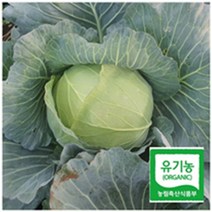 [제주유기농양배추] 제주스 제주 유기농 양배추즙, 80ml, 30개