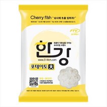 야부코리아 체리피시 한강 포테이토 떡밥 붕어 향어 민물떡밥