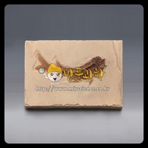 (ART)물고기화석(Bony Fish 브라질 전시용화석)/KSIC-5257