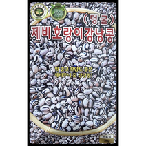 제비호랑이강낭콩씨앗30G 강낭콩씨앗 콩씨앗 KS종묘, 1개