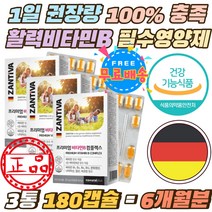 일일권장량 100% 충족 비타민 비 1 2 6 12 활력에너지 프리미엄 8종 비타민비군 함유 B1 B2 B6 B12 영양제 독일 직수입 비타민B 컴플렉스 판토텐산 비오틴 캡슐