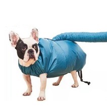 펫드라이룸 강아지에어탱크 드라이기 거치대 애견 블로어LDog Drying ot Pet Quik g Folding low Dryer Por, 01 S