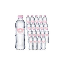 지리산수 핑크 500ml 20병 /생수전문배송, 지리산수 핑크 500ml 20병 /생수