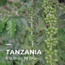 [생두] 탄자니아 모시 PB FAQ+ 10kg