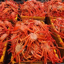 산지직송 프리미엄 자숙 홍게 실속형 심해 대게 당일조업 3kg (자숙 8~10미 수율 75~85%)