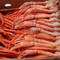 속초 붉은대게 5kg 2L/홍게/홍게섹션/홍게라면/가족모임/집들이