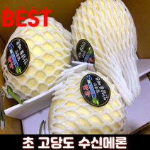 특품 초고당도 과일선물 금산 수신멜론 홈런스타 멜론 메론 6kg 12kg양구 머스크무료교환반품, 12kg, 1개