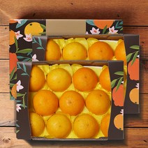 제주 황금향 선물세트, 2.6kg 10-12과 x 2박스