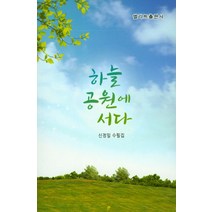 하늘 공원에 서다:신정일 수필집, 엘리트출판사, 신정일 저