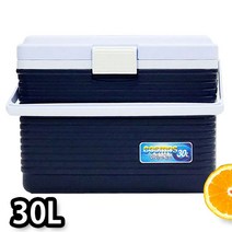 쿨러 여행 아이스박스 캠핑 이동식 낚시 차박 30L 다용도, 단품, 상세페이지 참조