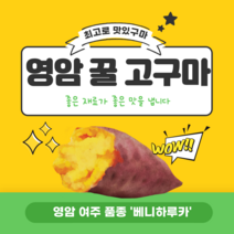 달콤한 꿀 고구마 특상 영암 프리미엄 베니하루카 3kg 세척, 1개