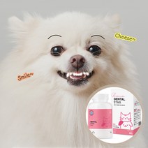강아지 고양이 구강관리 영양제