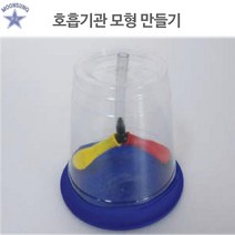 호흡기관 모형 만들기(10인용)