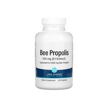 레이크에비뉴뉴트리션 비 프로폴리스 1000mg 베지캡슐 240정