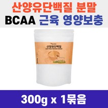 근육 영양 보충제 BCAA 에너데이 산양유 단백질 300g 분말 가루 먹는 법