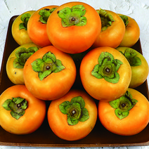 단감시세 햇단감 생감 땡감 후르츠 단감, 후르츠 단감 2.5kg 대과