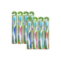 덴탈케어 클린큐 자일리톨칫솔 8개 색상랜덤, 덴탈케어 클린큐 자일리톨칫솔 8