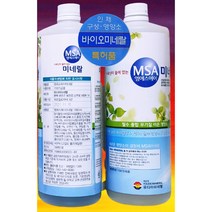 MSA 미네랄