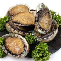 완도 활 전복 제철 1kg 산지직송, 4)전복 중 14~16미 1kg, 1개