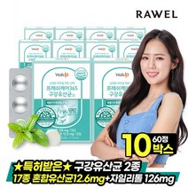 로엘 웰업 프레쉬케어365 구강유산균 10박스 (20개월분), 로엘 프레쉬케어365 구강유산균 10박스