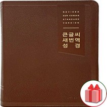 생명의말씀사 큰글씨 새번역성경 대 단본 색인 무지퍼(RN72EF)PU, 다크브라운
