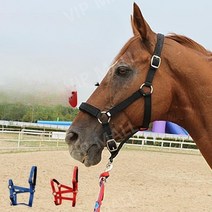 말굴레 말고삐 승마 마방굴레 로프 고삐, 컬러 노트