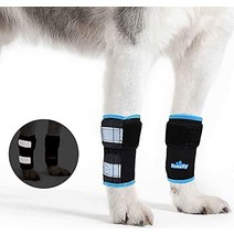 강아지 관절 영양제 관절약 보조제 NeoAlly Dog amp Cat 앞 보호대 한 쌍 손목 지지대 및 십자 인대 상처 치유 으로 인한 안정성 손실을 위한 안전 반사 스트랩 포함, [03] L/XL (1 Pair), [02] 블루.
