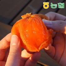 [농협] 자연건조 장성 대봉 반건시 곶감, 특상품 24입, 1개