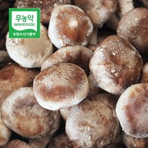 두메골농원 영양 무농약 버섯 착한 송이 500g 상품, 단품