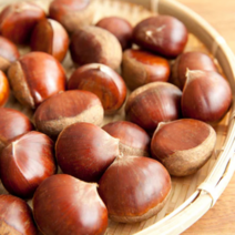 알밤 공주알밤 공주밤 부여 햇밤 생밤 정품 대 특대 1kg 2kg, 대 1kg