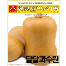 아시아종묘 땅콩호박 아땅 씨앗 종자 1000립 버터호박 땅콩단호박 씨앗종자