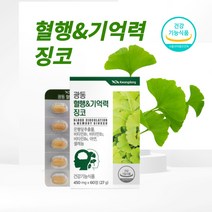 디아이하트 광동 은행잎추출물 징코 Ginko 혈행 기억력 메모리 플라보놀배당체 비타민 아연 셀렌 6중 복합기능 소형정제 어르신 수험생 추천 영양제, 60정, 2개
