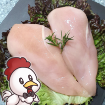 한결컴퍼니 생 닭가슴살 1kg 냉동 손질 닭가슴살 가슴살 수제간식재료 닭고기, [한결컴퍼니] 생닭 가슴살 1kg