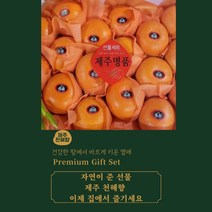 제주천혜향 가정용 프리미엄 고당도 천혜향 3kg
