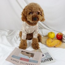 베들링턴테리어 빠삐용강아지 삽살개 파티푸들 털안빠지는강아지 소형견종류애 잉글리쉬불독 포메라니안 베들링턴테리어 강아지 옷 블랙라벨 할미내복, 베이지