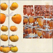 국산 곶감만들기 DIY 셋트 곶감메이커 곶감걸이 셋트, ★4개걸이프리미엄곶감걸이(100개용)화이트★