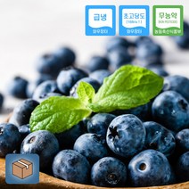 전북 순창 무농약 블루베리 1kg 냉동과 급랭 친환경 2022년, 무농약 블루베리 냉동과(최상품) 1kg