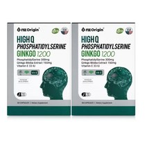 엔젯오리진 집중력 영양제 혈행 기억력개선 징코 60캡슐, 엔젯오리진 징코 1200mg x 60캡슐