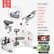 스핀 바이크 스피닝 자전거 집에서유산소운동 ST-104, 화이트 [스마트 앱 플레이]