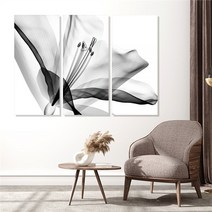모던하우스 꽃 3분할 액자세트 소형 3세트(1pcs 30x70cm), 2.릴리A