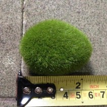 비바리움식물 이끼 테라리움이끼 재료 생이끼 양지이끼 서리이끼 비단이끼 천연이끼 1pcs 녹색 인공 돌 잔디 식물 장식 화분 풍경 diy 수 지 정원 공예 풍경 장식, b, m