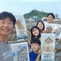 국내산 동해안 미니 오징어 1kg 12~15미 통찜 통찜용 한입 냉동 통오징어, 4kg