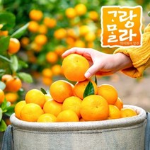 기타 [고랑몰라] 당도높은 하우스 감귤 5kg(S) 로얄과 제주 밀감, 기본상품