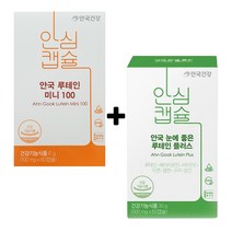 안국건강 루테인 미니100 60캡슐+눈에 좋은 플러스 60캡슐, 1개, 각60캡슐