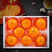 (롯데백화점)한아름 천혜향 선물세트 3kg(7-12과)