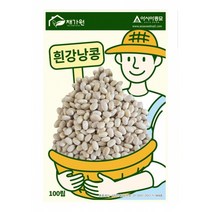 아시아종묘 콩씨앗종자 흰강낭콩 (100립), 100립