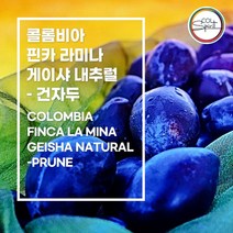 (커피생두) 45 콜롬비아 핀카 라미나 게이샤 내추럴 - 건자두 500g