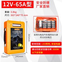 파워뱅크 만들기 리튬 폴리머 인산철 배터리 대용량 차박 캠핑용 12v 24v, 12V 피트 용량 65A 유형 (충전기) + 개